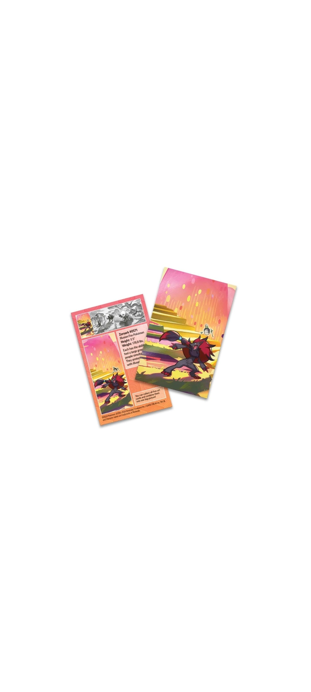 Pokemon TCG - Scarlet & Violet - Shrouded Fable - Mini Tin - Zoroark 2024 - 2