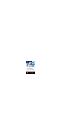Pokemon TCG - Sword & Shield - Chilling Reign - Build & Battle Prerelease Kit - Englisch 2021 - 5