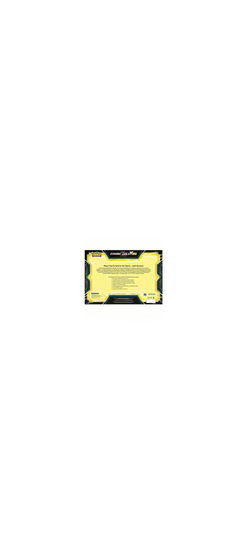 Pokemon TCG - Sword & Shield - Battle Box - Zeraora VMAX & VSTAR - Englisch 2022 - 2