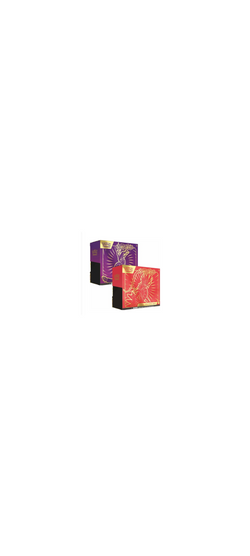 Pokemon TCG - Karmesin & Purpur - Koraidon  Miraidon - Top Trainer Box 2023