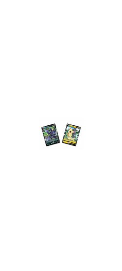 Pokemon TCG - Champion`s Path - Marnie - Special Collection Box - Englisch 2020 - 2