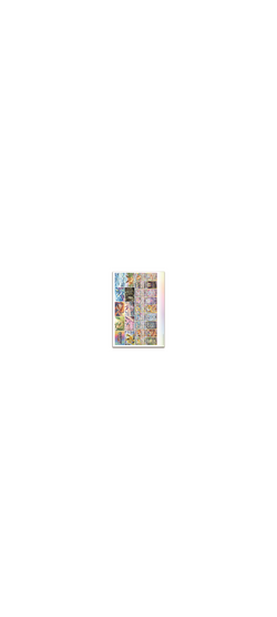 Pokemon TCG - Scarlet & Violet - Prismatic Evolutions - Poster Collection - Englisch 2025