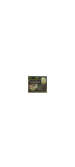 Pokemon TCG - Mega Evolution - Perfect Order - Elite Trainer Box - Englisch 2026 - 9