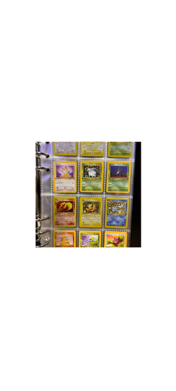 Pokemon TCG - Pokéfan Jungle Set Houses 1st Edition - Englisch - 3