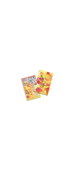Pokemon TCG - Scarlet & Violet - 151 - Mini Tin - Kadabra & Hitmonlee - Englisch 2023 - 2