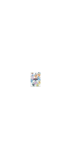 Pokemon TCG - Scarlet & Violet - Prismatic Evolutions - Poster Collection - Englisch 2025 - 4