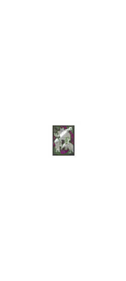 Pokemon TCG - Scarlet & Violet - Shrouded Fable - Elite Trainer Box 2024 - 4