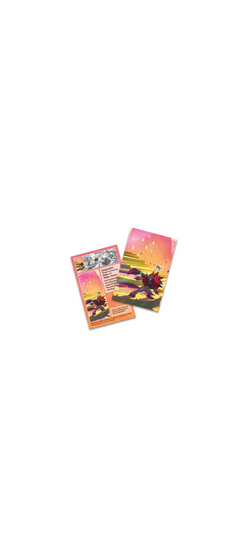 Pokemon TCG - Scarlet & Violet - Shrouded Fable - Mini Tin - Zoroark - Englisch 2024 - 2