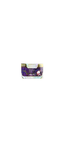 Pokemon TCG - Schwert & Schild - Hisui Zoroark VSTAR - Premium Kollektion - Deutsch 2022 - 3