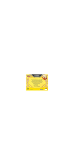 Pokemon TCG - Sword & Shield - Hisiuan Electrode V Box - Englisch 2022 - 4