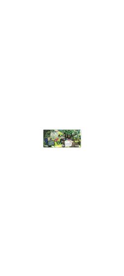 Pokemon TCG - Sword & Shield - Rillaboom - Theme Deck - 2
