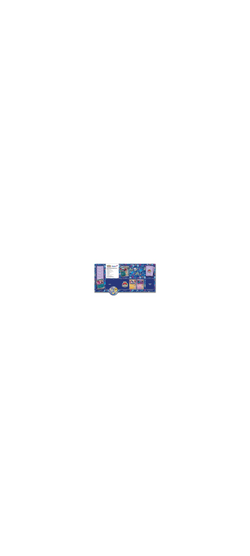 Pokemon TCG - Weltmeisterschaftsdeck 2024 - Sakuya Ota - Ancient Toolbox - 2