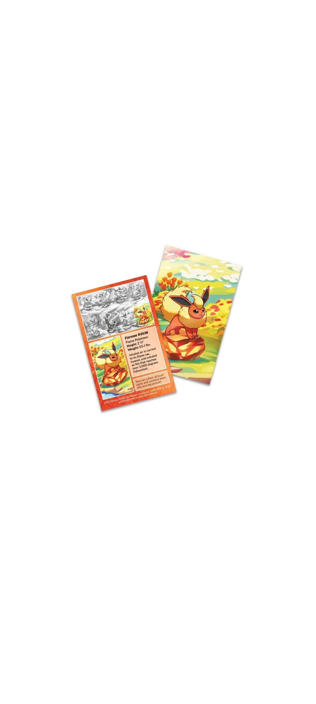 Pokémon TCG - Scarlet & Violet - Prismatic Evolutions Mini Tin - Flamara 2024 - 2